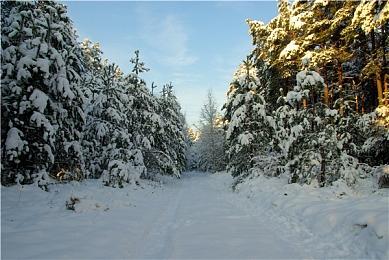 国行Switch开启元旦促销活动 部分商品低至7折